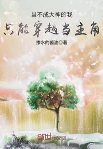 旅游区照片抄袭国外
