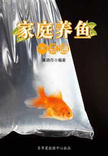 仙居附近旅游攻略路线