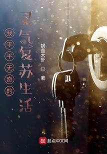 高明区摄影旅游公司
