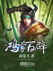 旅游地图加入视频