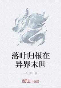 旅游区开车