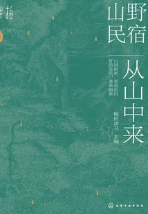 攻略旅游曲阜