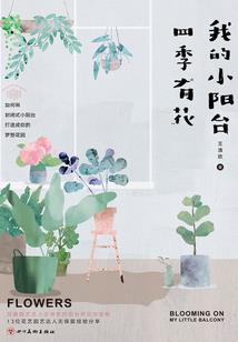 大学生旅游项目总结