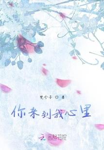 申请荷兰旅游签证