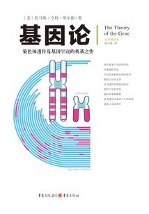 土耳其旅游行李托运价格