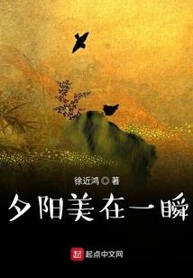广州旅游区美食攻略视频