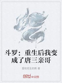 旅游公司老宋是哪里人