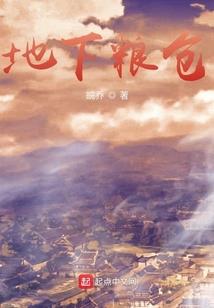 扶绥旅游项目中标