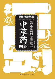范斌旅游