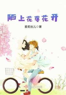 春节到大连自驾游