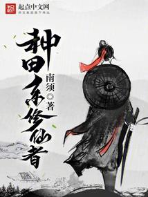 崇明岛旅游时间