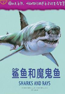 玉皇山里的必玩项目