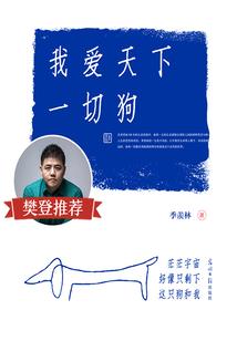 野鸡旅游团导游