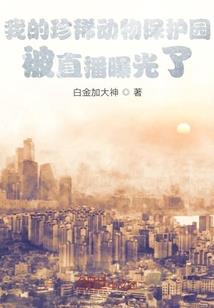 乌镇必玩三大景点排名榜