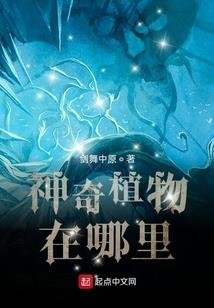 建德马岭天观景区门票价格多少钱
