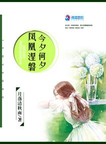 景洪市旅游公司迁址了吗