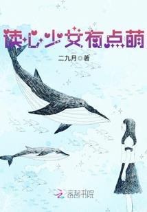 沈阳到海南5天飞机旅游