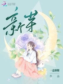 康定情歌飞度自驾游视频