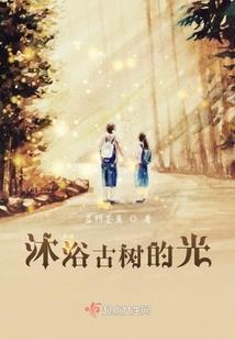 山西旅游人次
