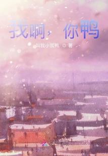 旅游公司对联图片