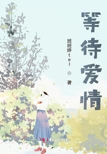泰山夜爬旅游团价格
