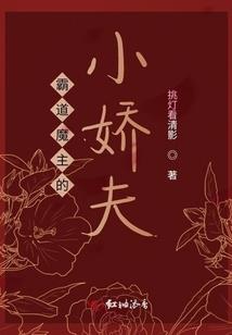 游轮出境旅游价格查询