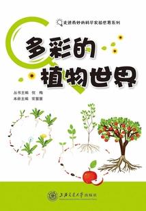 连岛旅游车票价格