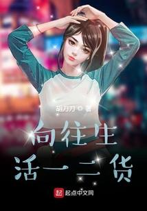 山东飞天旅游项目招标