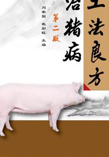 青岛旅游3日游团队招聘
