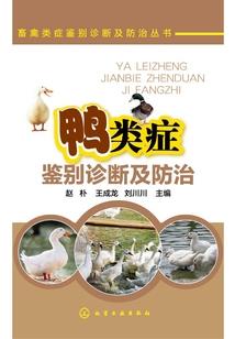 右江旅游项目门票价格