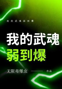 老河口滨江公园门票价格