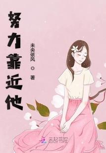 张家界旅游公司的情况