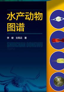 货车出租自驾