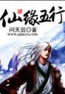 老人77岁欧洲旅游签证