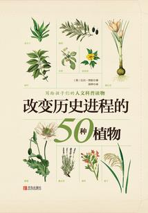 芝英古镇有旅游区