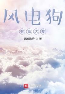 境内旅游意外险的项目