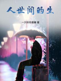 海南旅游阿尔法多少钱