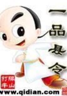 闪途旅游vip价格