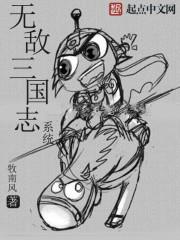 云南旅游净资产多少