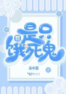 长沙西北旅游价格表