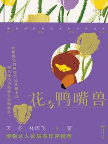 旅游剪辑必备歌曲英文