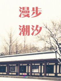 青神旅游招商项目招标
