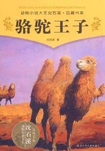 旅游公司着火原因
