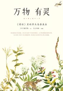 西安旅游公司费用多少钱