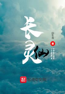 新疆安子长途旅游公司