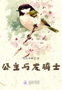 漠河极光旅游费用多少