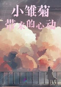 高端商务旅游项目
