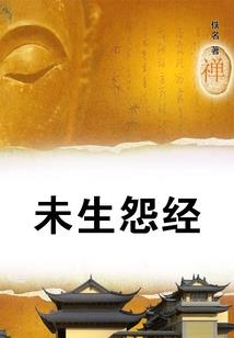 大雅公司进行旅游项目ppt