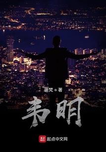 旅游适合带的脚蹼