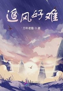 珠江新城到莲花旅游区